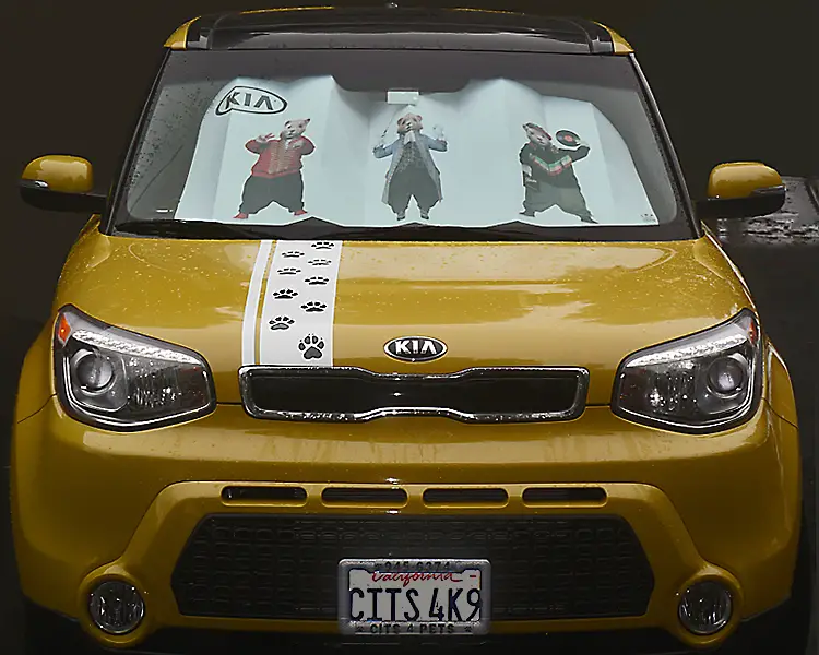 Funny Soul Sun Shade